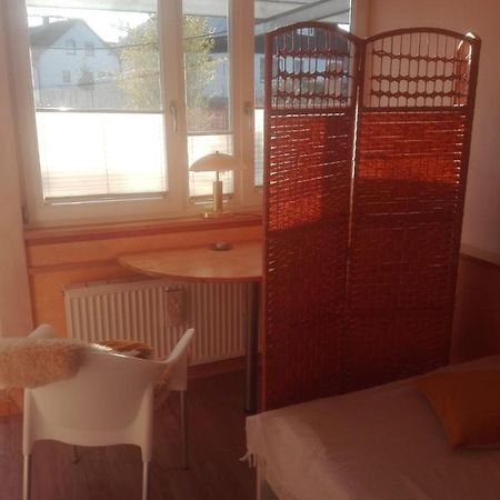 Hellena Appartement Balingen Buitenkant foto