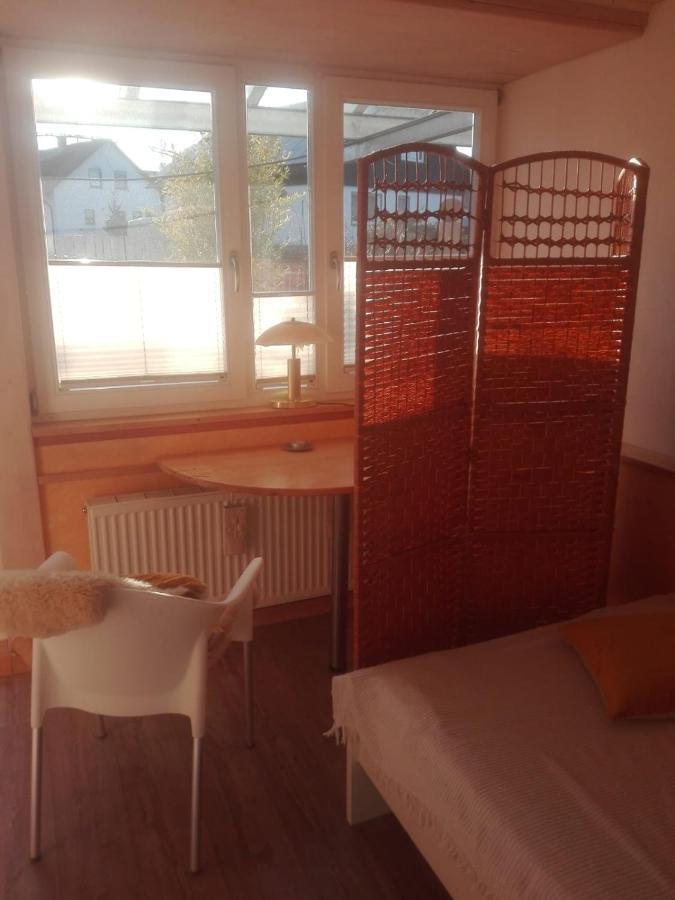 Hellena Appartement Balingen Buitenkant foto